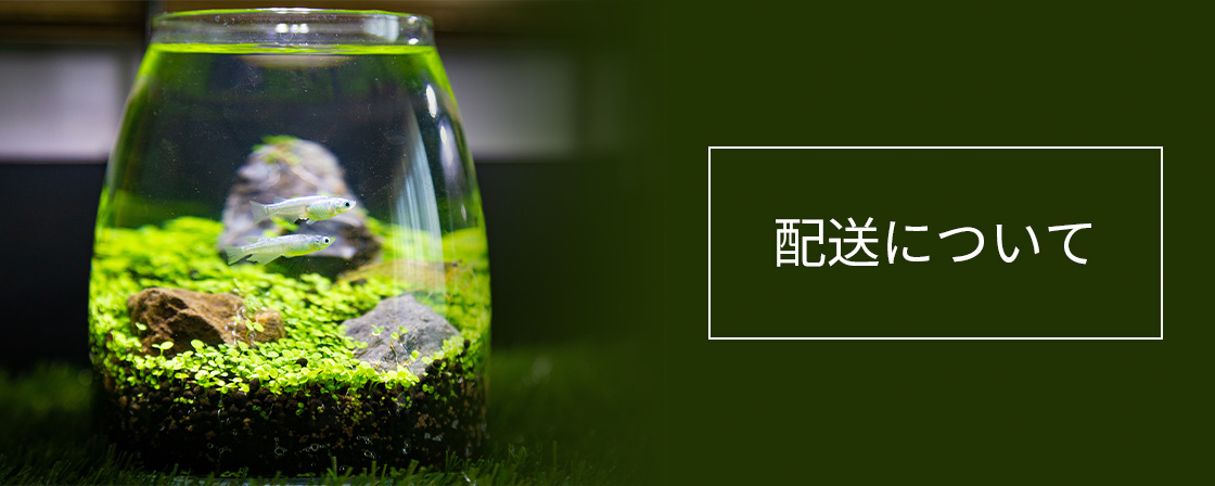 配送について